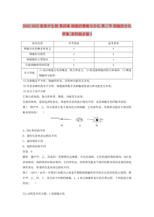 2022-2023版高中生物 第四章 細(xì)胞的增殖與分化 第二節(jié) 細(xì)胞的分化學(xué)案 浙科版必修1