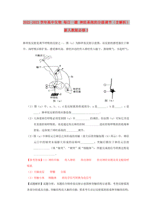 2022-2023學(xué)年高中生物 每日一題 神經(jīng)系統(tǒng)的分級調(diào)節(jié)（含解析）新人教版必修3