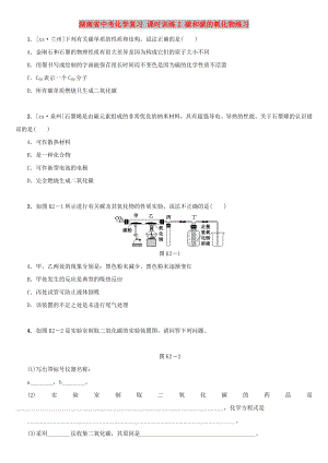 湖南省中考化學(xué)復(fù)習(xí) 課時(shí)訓(xùn)練2 碳和碳的氧化物練習(xí)