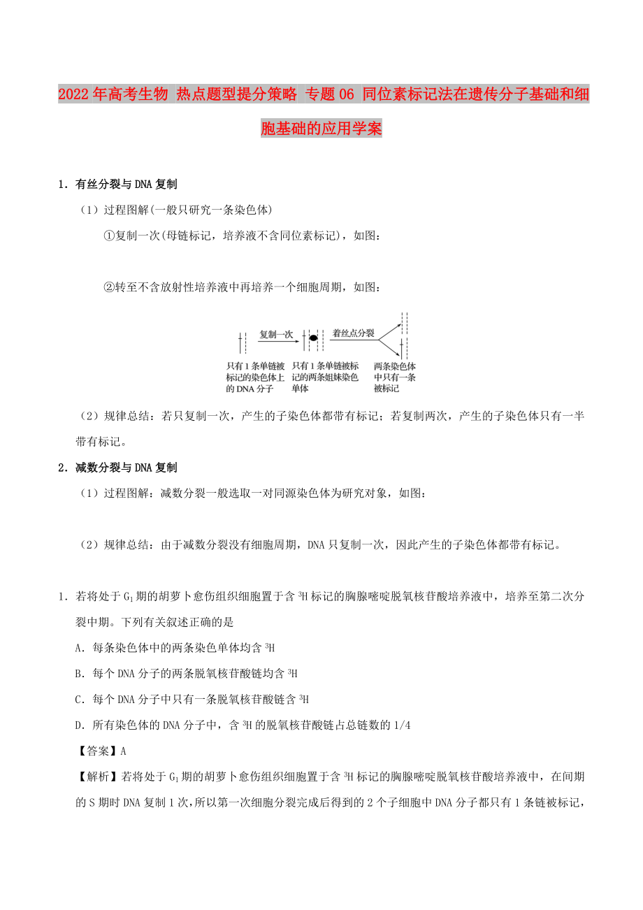 2022年高考生物 熱點題型提分策略 專題06 同位素標記法在遺傳分子基礎和細胞基礎的應用學案_第1頁