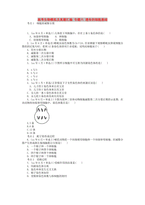 高考生物模擬及真題匯編 專題六 遺傳的細(xì)胞基礎(chǔ)