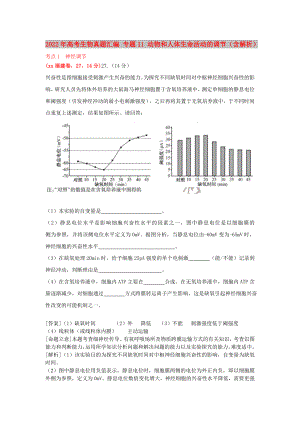 2022年高考生物真題匯編 專(zhuān)題11 動(dòng)物和人體生命活動(dòng)的調(diào)節(jié)（含解析）