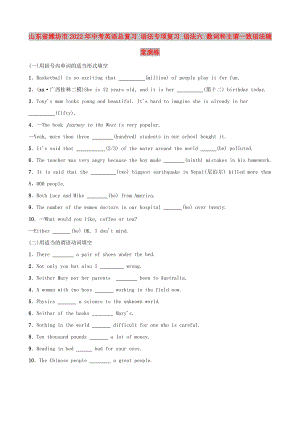 山東省濰坊市2022年中考英語總復(fù)習(xí) 語法專項(xiàng)復(fù)習(xí) 語法六 數(shù)詞和主謂一致語法隨堂演練