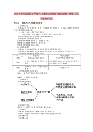 2022年高考生物復(fù)習(xí) 專題04 細胞的生命歷程 細胞的分化、衰老、凋亡和癌變知識點