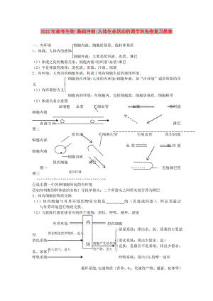 2022年高考生物 基礎(chǔ)沖刺 人體生命活動(dòng)的調(diào)節(jié)和免疫復(fù)習(xí)教案