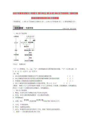 2022年高考生物大一輪復(fù)習(xí) 第六單元 第19講 DNA分子的結(jié)構(gòu)、復(fù)制及基因是有遺傳效應(yīng)的DNA片段教案