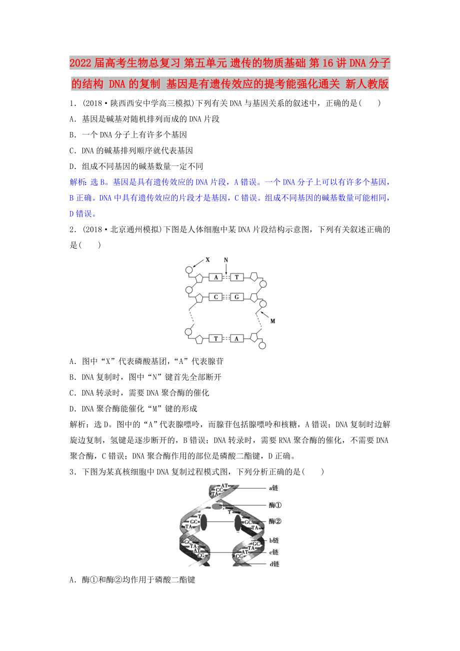 2022屆高考生物總復(fù)習(xí) 第五單元 遺傳的物質(zhì)基礎(chǔ) 第16講 DNA分子的結(jié)構(gòu) DNA的復(fù)制 基因是有遺傳效應(yīng)的提考能強(qiáng)化通關(guān) 新人教版_第1頁