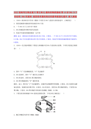 2022屆高考生物總復(fù)習(xí) 第五單元 遺傳的物質(zhì)基礎(chǔ) 第16講 DNA分子的結(jié)構(gòu) DNA的復(fù)制 基因是有遺傳效應(yīng)的提考能強(qiáng)化通關(guān) 新人教版