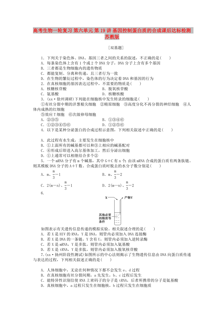 高考生物一轮复习 第六单元 第19讲 基因控制蛋白质的合成课后达标检测 苏教版_第1页