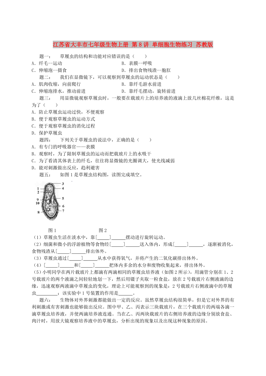 江苏省大丰市七年级生物上册 第8讲 单细胞生物练习 苏教版_第1页