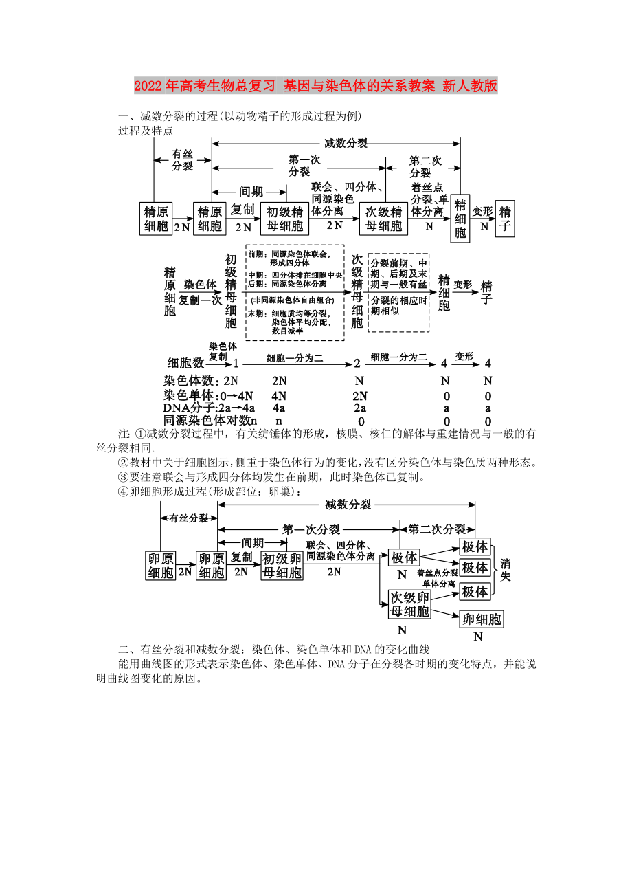 2022年高考生物總復(fù)習(xí) 基因與染色體的關(guān)系教案 新人教版_第1頁