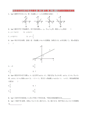 山東省濱州市2022中考數(shù)學(xué) 第三章 函數(shù) 第二節(jié) 一次函數(shù)要題隨堂演練