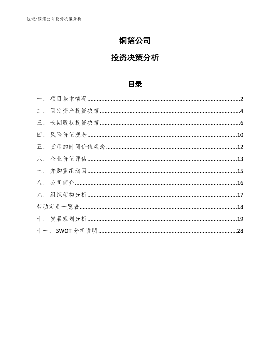 铜箔公司投资决策分析_第1页