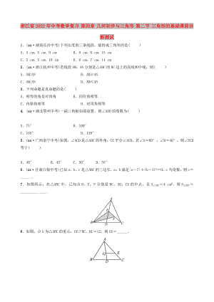 浙江省2022年中考數(shù)學(xué)復(fù)習(xí) 第四章 幾何初步與三角形 第二節(jié) 三角形的基礎(chǔ)課前診斷測試