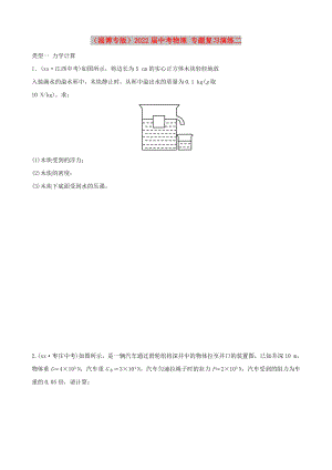 （淄博專版）2022屆中考物理 專題復(fù)習(xí)演練二