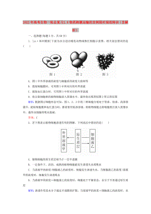 2022年高考生物一輪總復(fù)習(xí) 2.8物質(zhì)跨膜運(yùn)輸?shù)膶?shí)例限時(shí)規(guī)范特訓(xùn)（含解析）