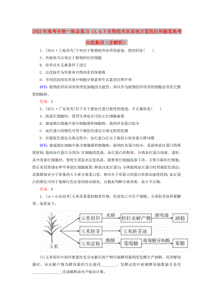 2022年高考生物一輪總復(fù)習(xí) 11.4.5生物技術(shù)在其他方面的應(yīng)用隨堂高考分組集訓(xùn)（含解析）