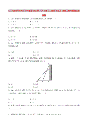 山東省濱州市2022中考數(shù)學(xué) 第四章 幾何初步與三角形 第五節(jié) 直角三角形要題隨堂演練