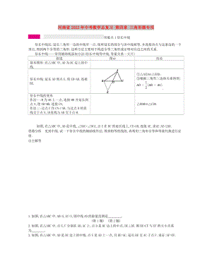 河南省2022年中考數(shù)學總復習 第四章 三角形微專項