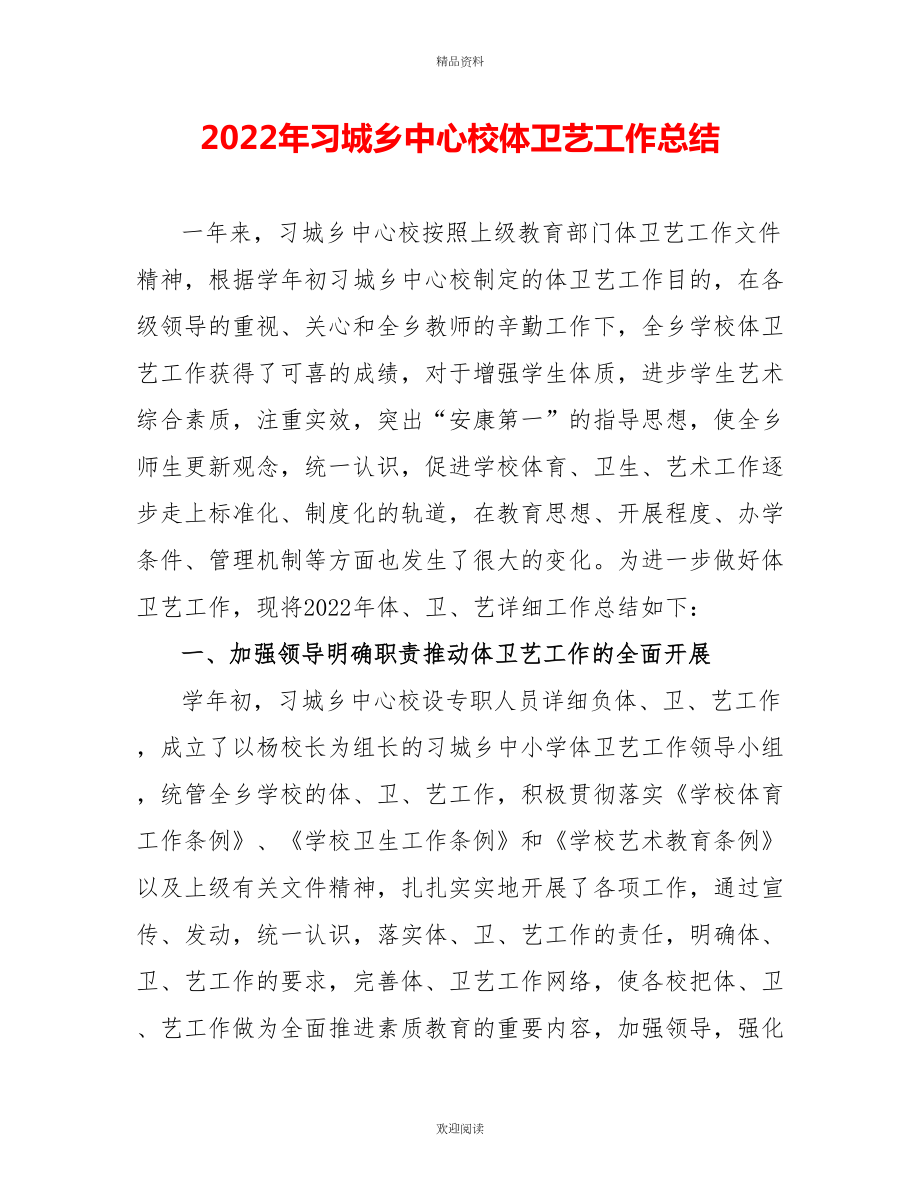 2022年习城乡中心校体卫艺工作总结_第1页