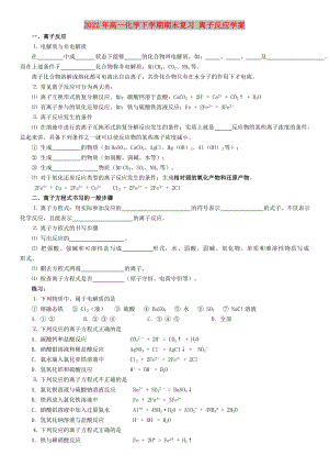 2022年高一化學(xué)下學(xué)期期末復(fù)習(xí) 離子反應(yīng)學(xué)案