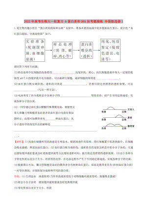 2022年高考生物大一輪復(fù)習(xí) 6蛋白質(zhì)和DNA技考題演練 中圖版選修1