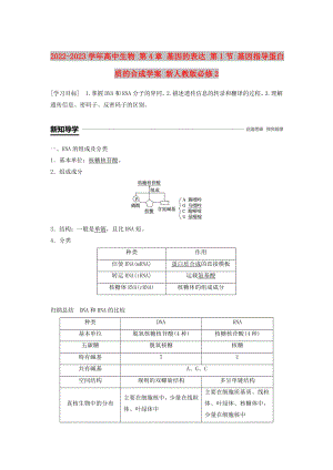 2022-2023學(xué)年高中生物 第4章 基因的表達(dá) 第1節(jié) 基因指導(dǎo)蛋白質(zhì)的合成學(xué)案 新人教版必修2