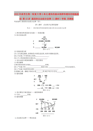 2022年高考生物一輪復(fù)習(xí) 第5單元 遺傳的基本規(guī)律和遺傳的細(xì)胞基礎(chǔ) 第15講 基因的自由組合定律（1課時(shí)）學(xué)案 蘇教版