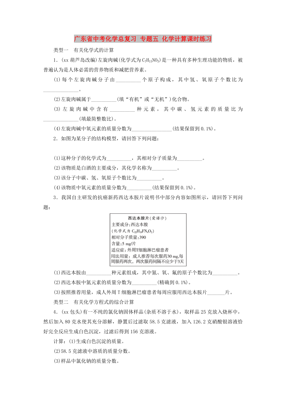 广东省中考化学总复习 专题五 化学计算课时练习_第1页