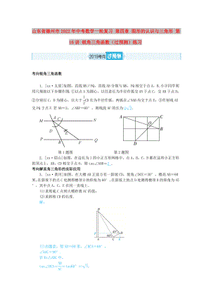 山東省德州市2022年中考數學一輪復習 第四章 圖形的認識與三角形 第16講 銳角三角函數（過預測）練習