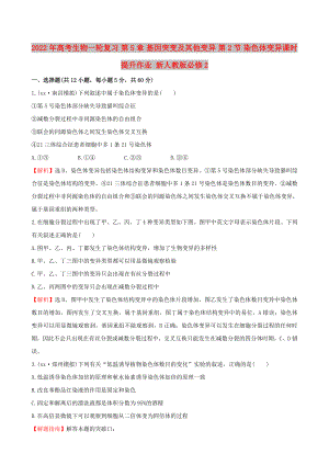 2022年高考生物一輪復(fù)習(xí) 第5章 基因突變及其他變異 第2節(jié) 染色體變異課時(shí)提升作業(yè) 新人教版必修2