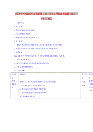 2022年人教版高中生物必修1 第5章第2節(jié)細(xì)胞的能量“通貨”—ATP 教案