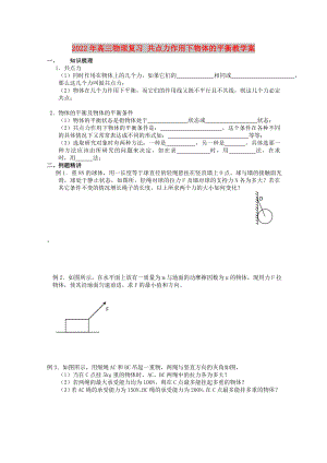 2022年高三物理復(fù)習(xí) 共點力作用下物體的平衡教學(xué)案