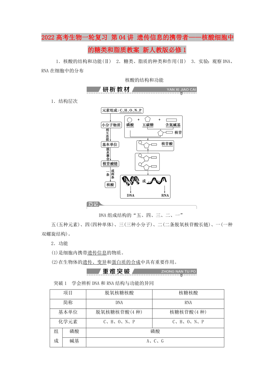 2022高考生物一輪復(fù)習(xí) 第04講 遺傳信息的攜帶者——核酸細胞中的糖類和脂質(zhì)教案 新人教版必修1_第1頁