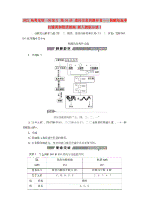 2022高考生物一輪復(fù)習(xí) 第04講 遺傳信息的攜帶者——核酸細(xì)胞中的糖類和脂質(zhì)教案 新人教版必修1