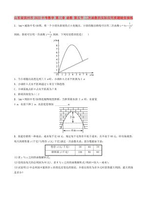 山東省濱州市2022中考數(shù)學(xué) 第三章 函數(shù) 第五節(jié) 二次函數(shù)的實(shí)際應(yīng)用要題隨堂演練