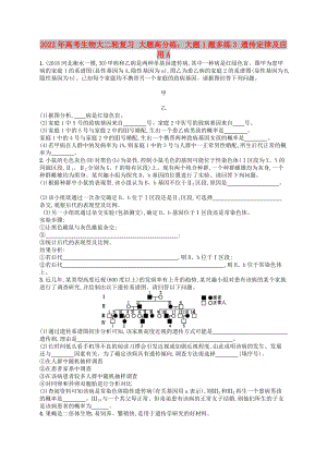 2022年高考生物大二輪復(fù)習(xí) 大題高分練：大題1題多練3 遺傳定律及應(yīng)用A