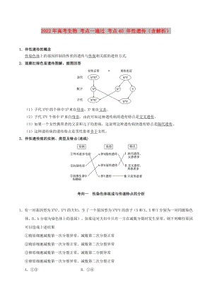 2022年高考生物 考點(diǎn)一遍過 考點(diǎn)40 伴性遺傳（含解析）