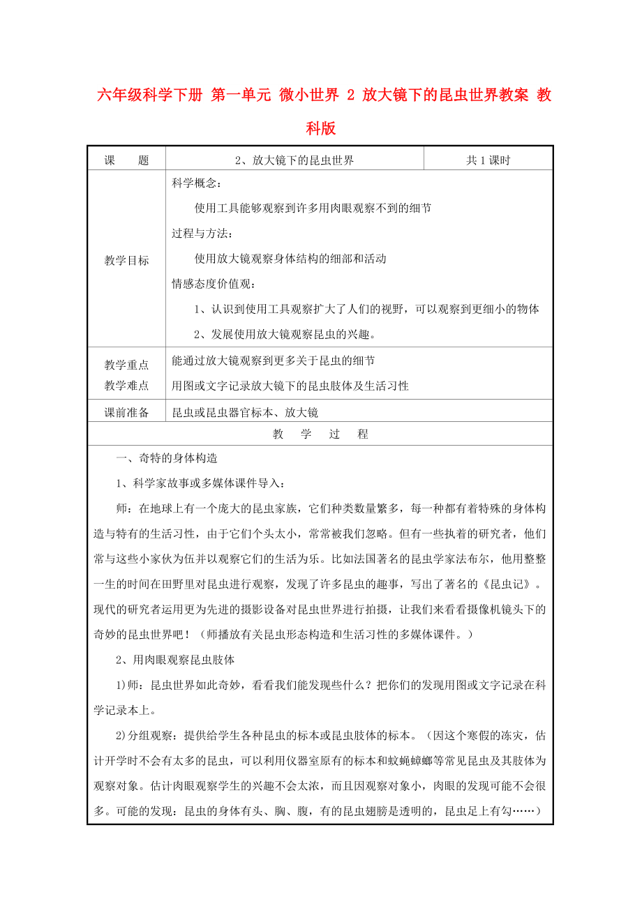 六年級科學下冊 第一單元 微小世界 2 放大鏡下的昆蟲世界教案 教科版_第1頁