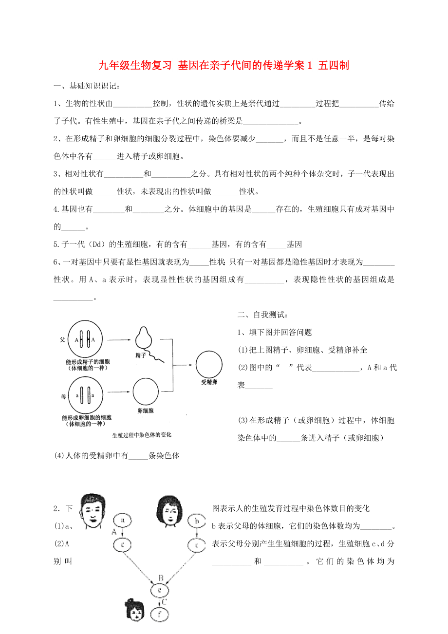 九年級生物復習 基因在親子代間的傳遞學案1 五四制_第1頁