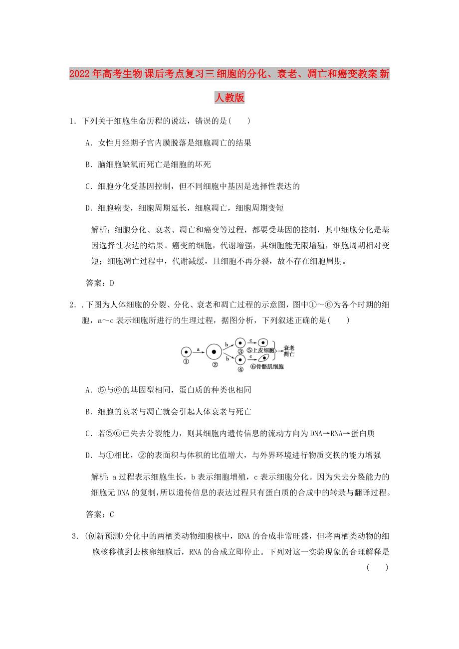 2022年高考生物 課后考點復(fù)習(xí)三 細胞的分化、衰老、凋亡和癌變教案 新人教版_第1頁