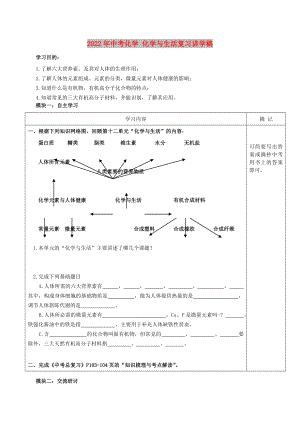 2022年中考化學(xué) 化學(xué)與生活復(fù)習(xí)講學(xué)稿