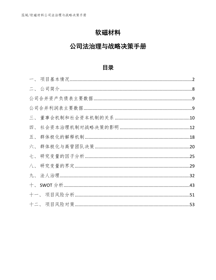 软磁材料公司法治理与战略决策手册_第1页