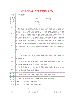 六年级美术上册 我种的植物教案 苏少版