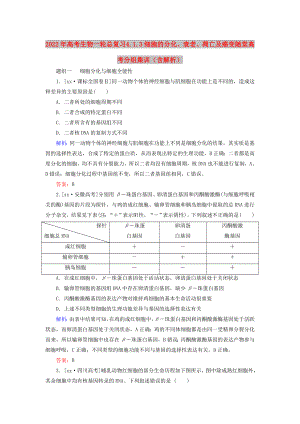 2022年高考生物一輪總復習 4.1.3細胞的分化、衰老、凋亡及癌變隨堂高考分組集訓（含解析）