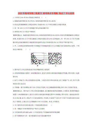 2022年高考生物二輪復習 高考熱點專項練 熱點7 中心法則