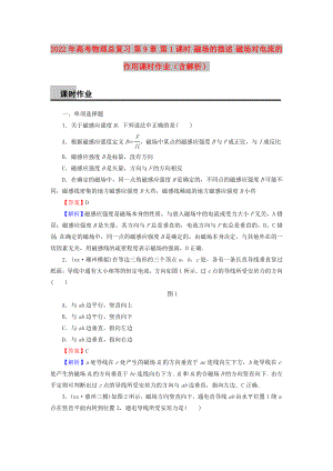 2022年高考物理總復(fù)習(xí) 第9章 第1課時(shí) 磁場(chǎng)的描述 磁場(chǎng)對(duì)電流的作用課時(shí)作業(yè)（含解析）