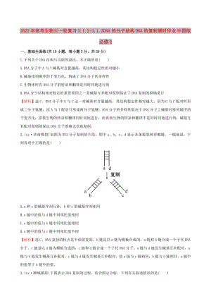 2022年高考生物大一輪復(fù)習(xí) 3.1.2-3.1.3DNA的分子結(jié)構(gòu) DNA的復(fù)制課時(shí)作業(yè) 中圖版必修2