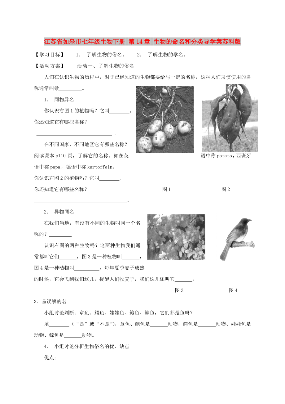 江蘇省如皋市七年級生物下冊 第14章 生物的命名和分類導(dǎo)學(xué)案蘇科版_第1頁