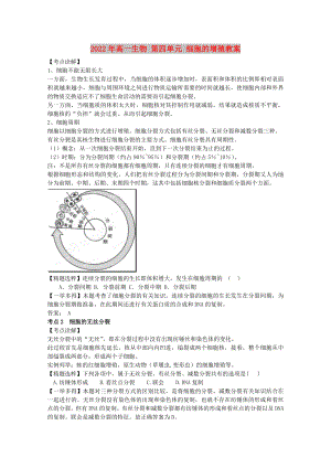 2022年高一生物 第四單元 細(xì)胞的增殖教案